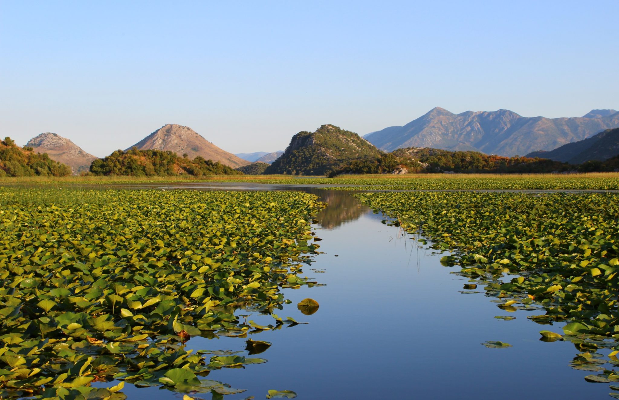 Skadar Lake National Park