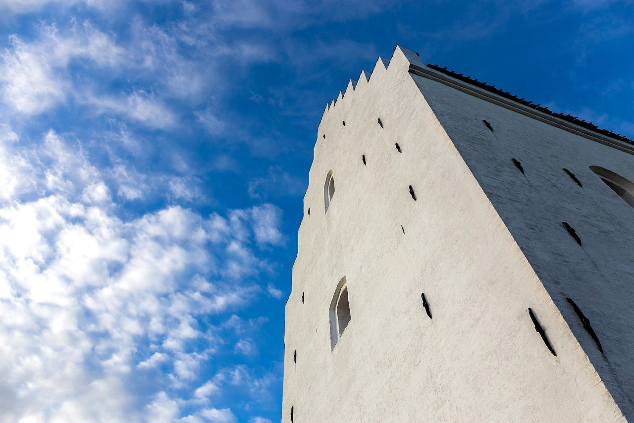 Skagen Greyfriars Monastery Ruins