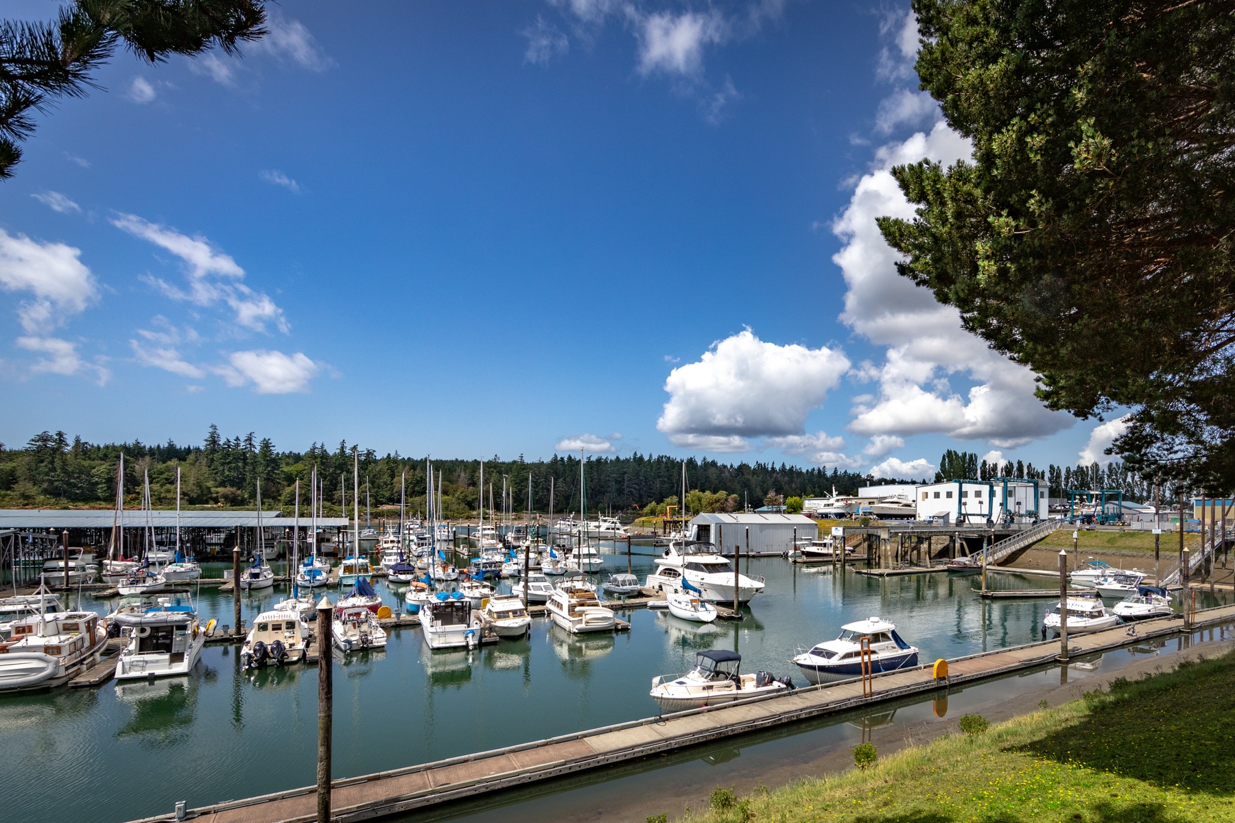 Skagit Bay