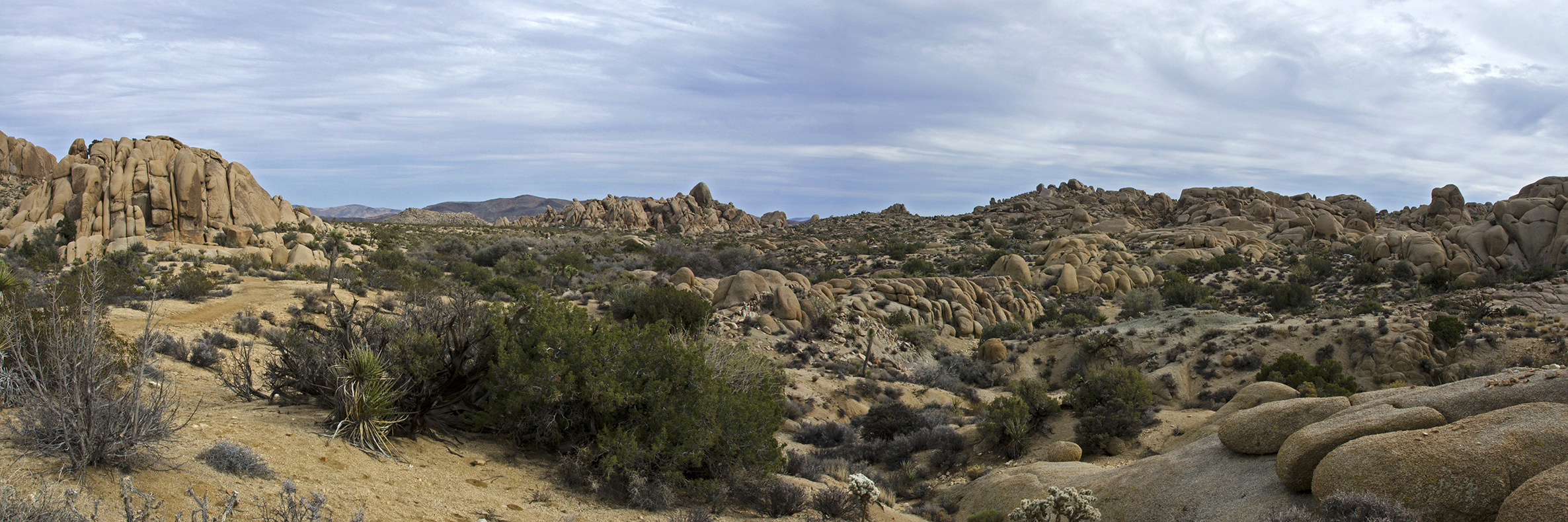 Skull Rock Nature Trail