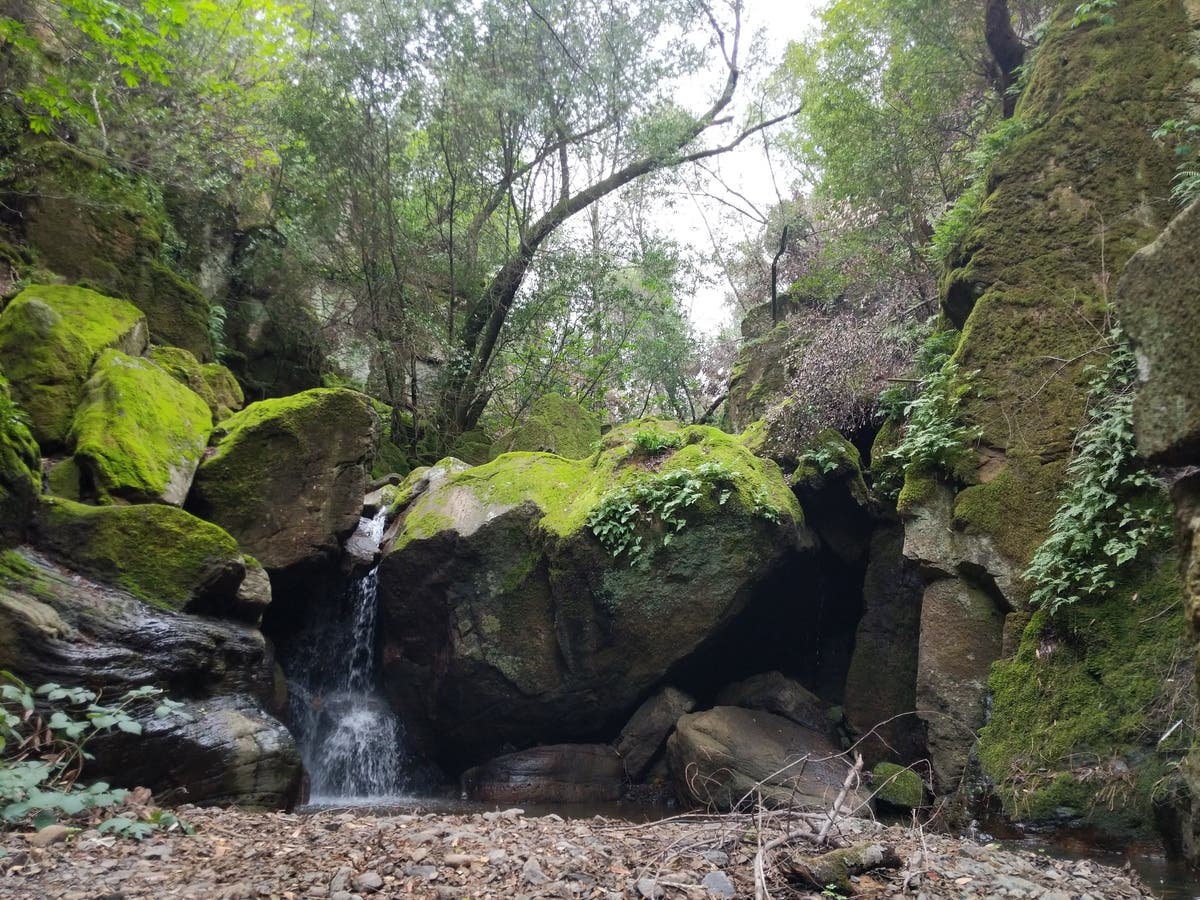 Skyline Wilderness Park