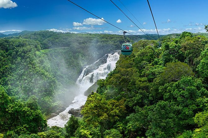 Skyrail Rainforest Cableway