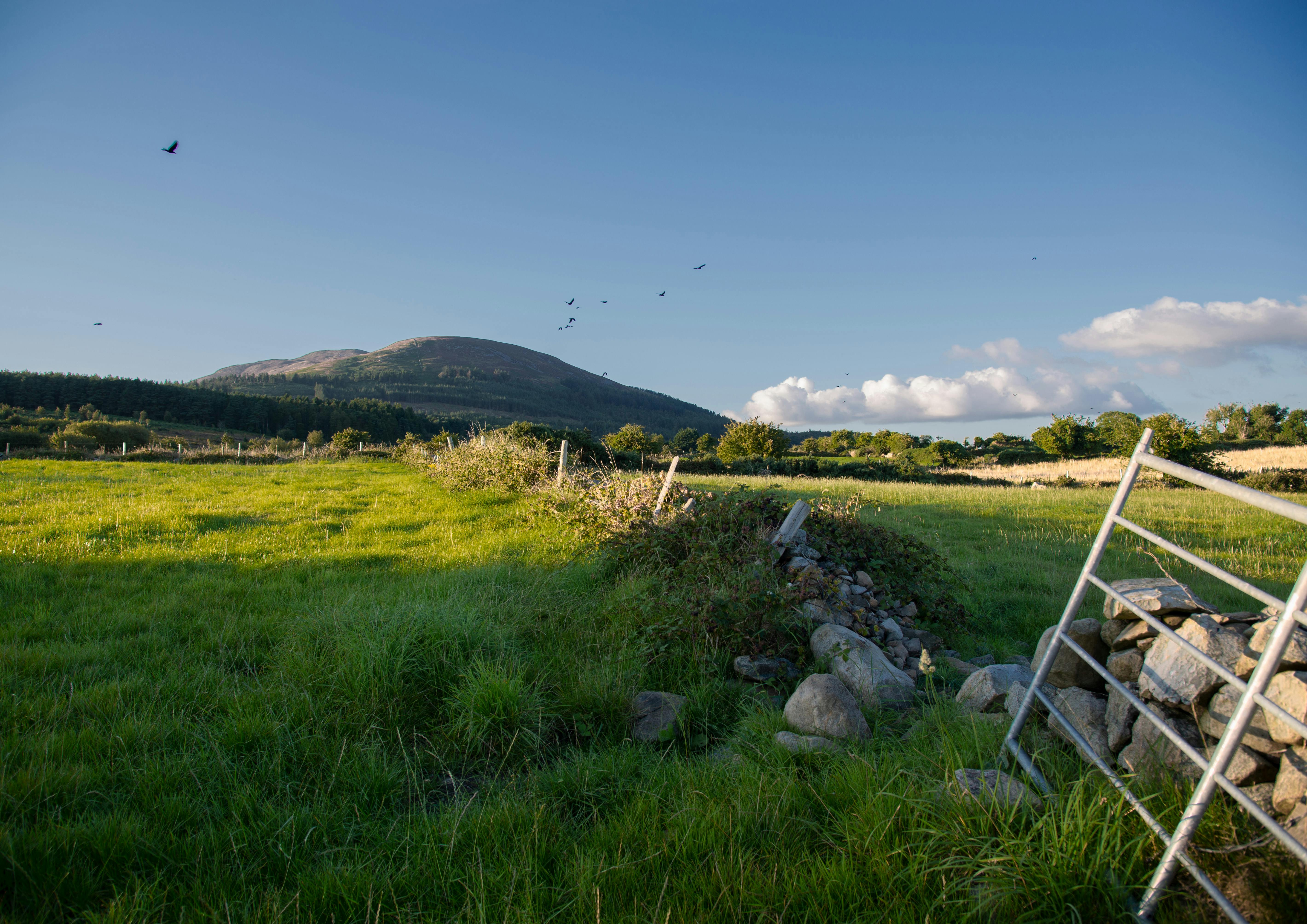 Slieve Gullion Forest Park