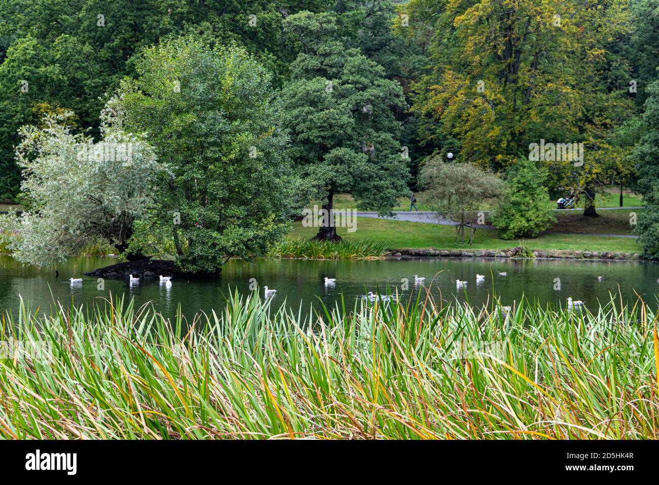 Slottsskogen Park