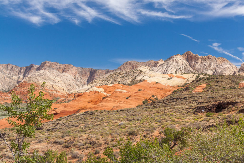 Snow Canyon State Park