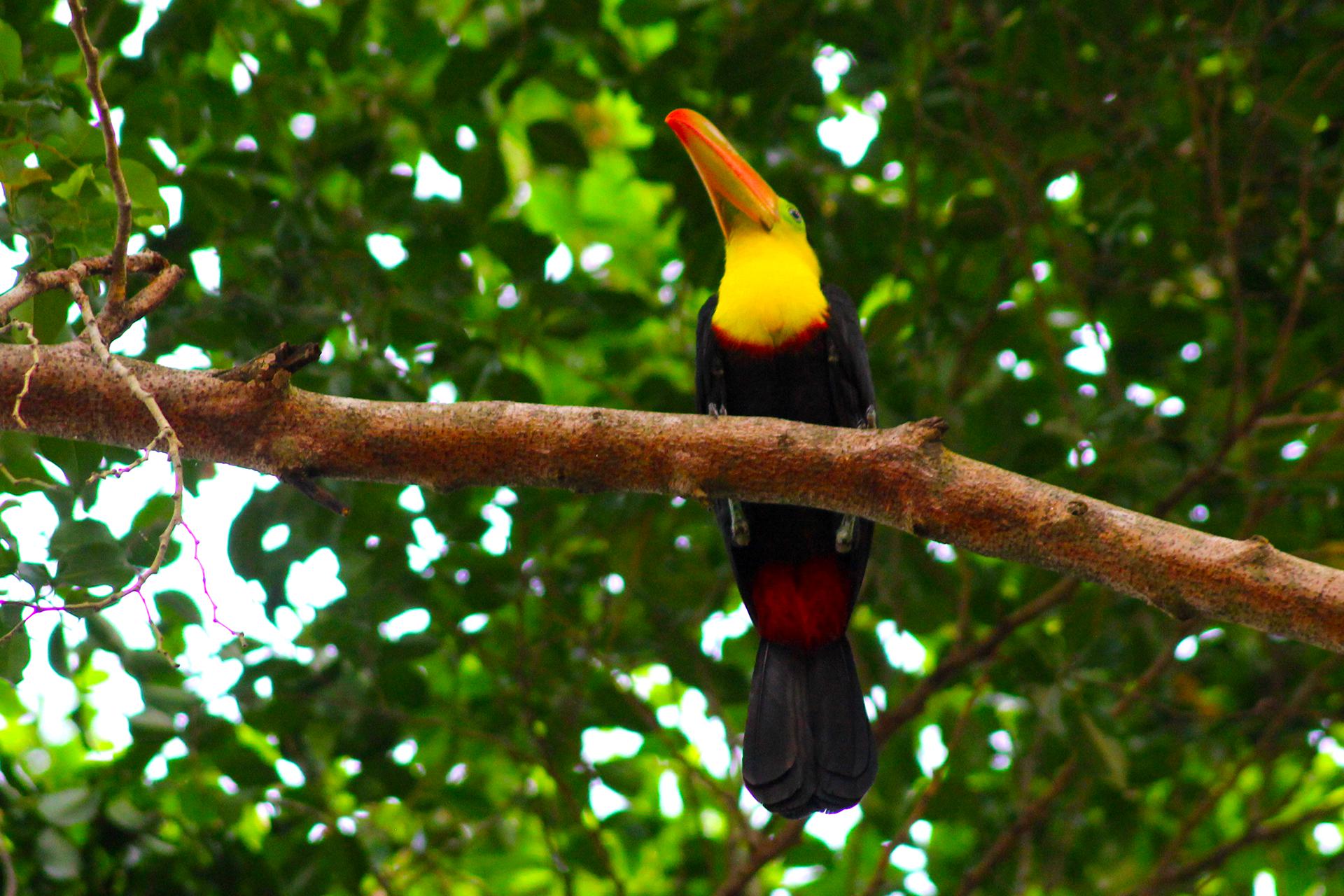 Soberania National Park