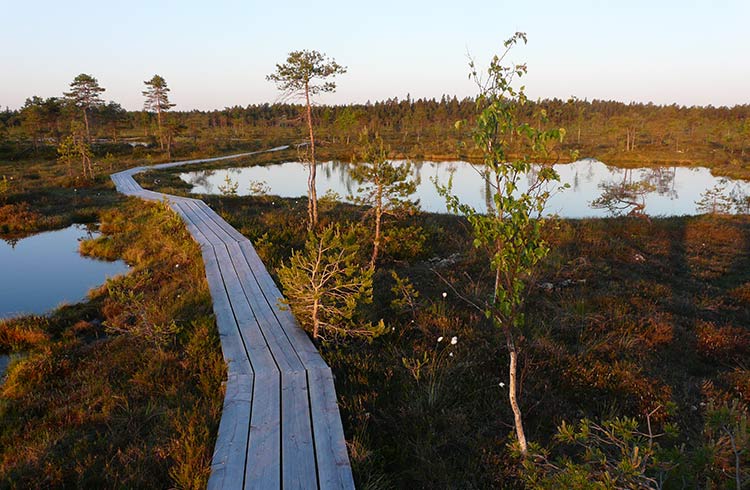 Soomaa National Park