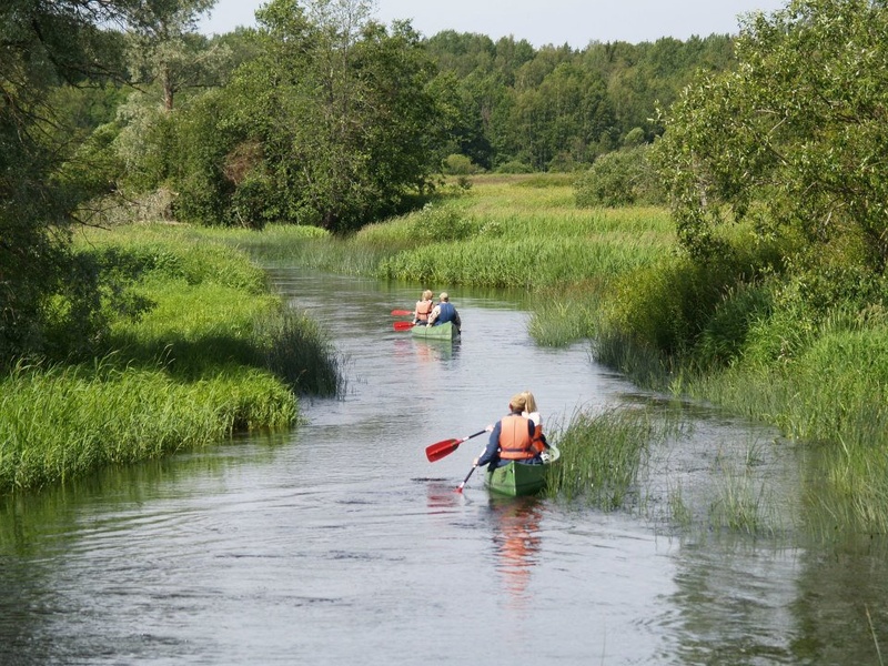 Soomaa National Park Canoeing