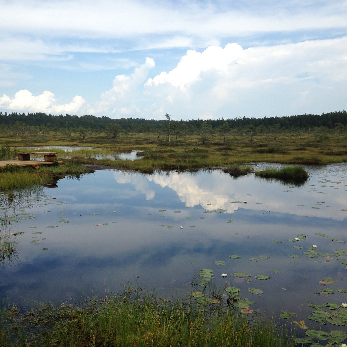 Soomaa National Park Visitor Center