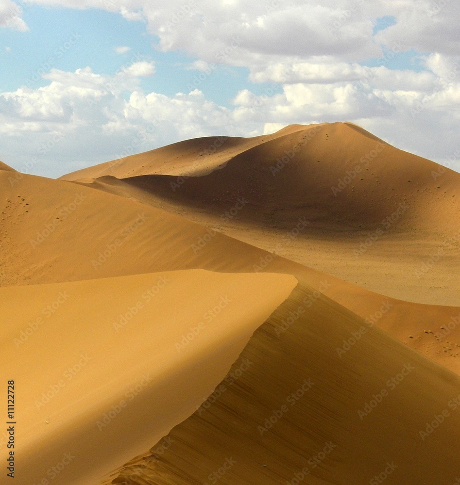 Sossusvlei Bird Watching