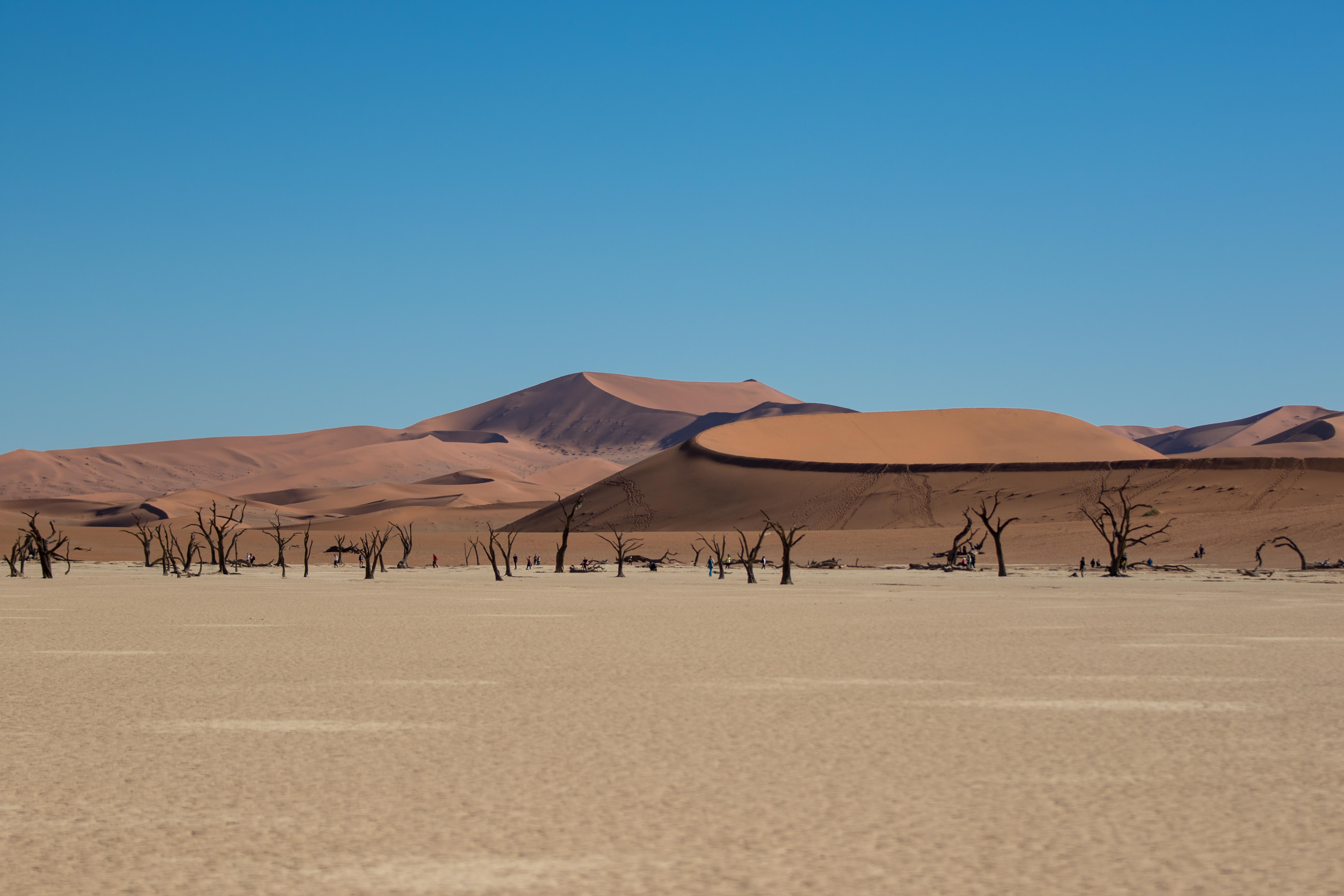 Sossusvlei Photography Tours