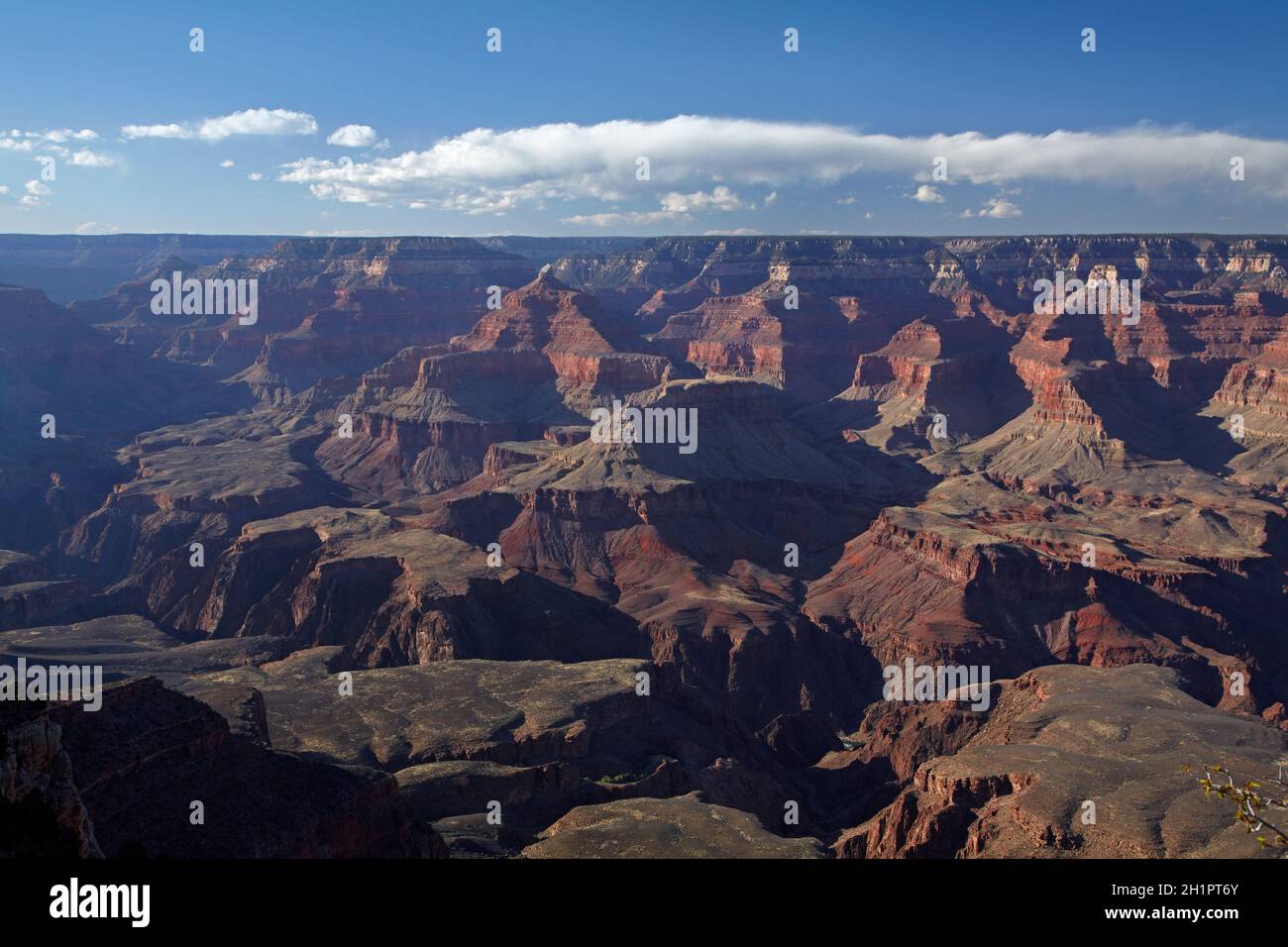 South Rim Trail