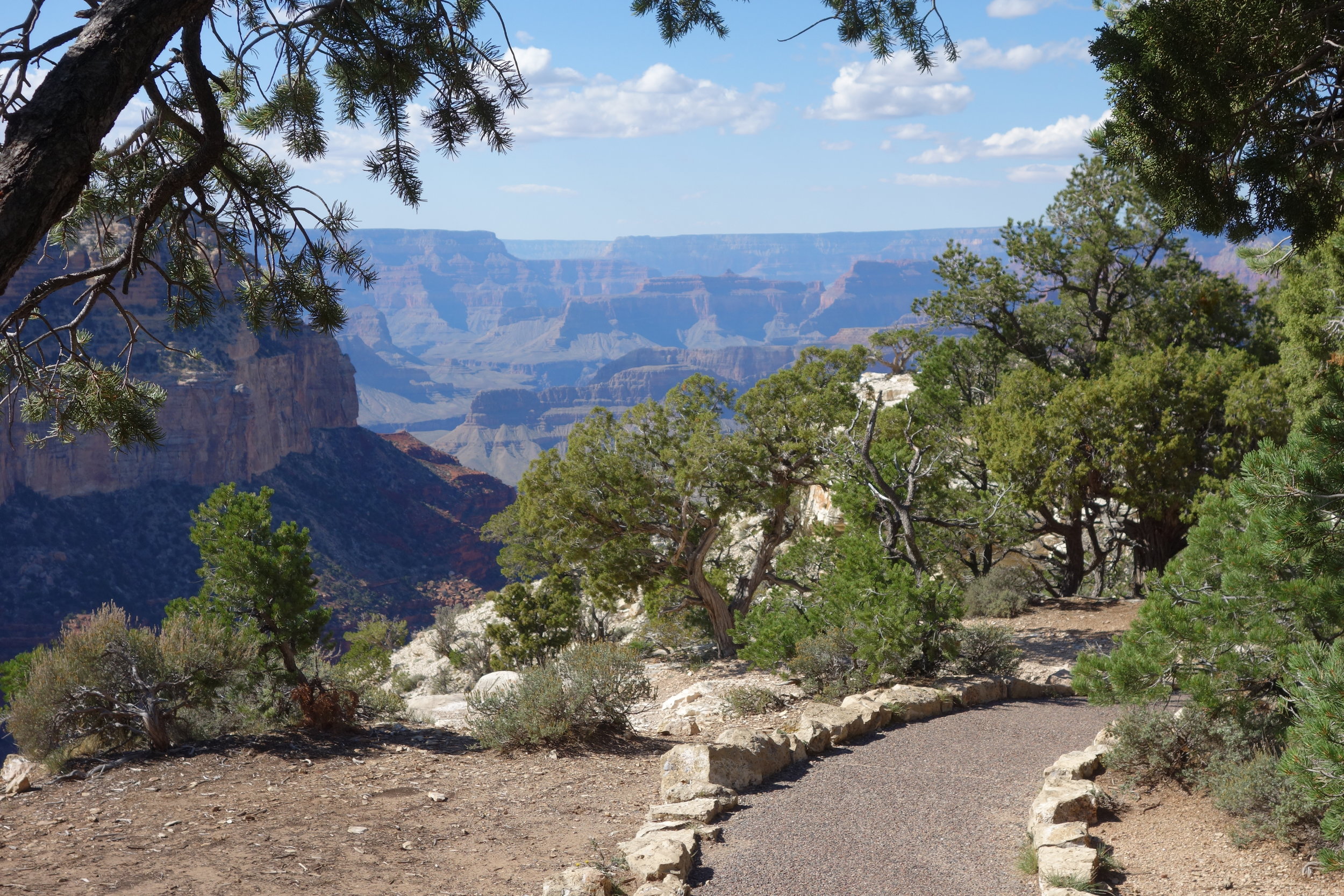 South Rim Trail