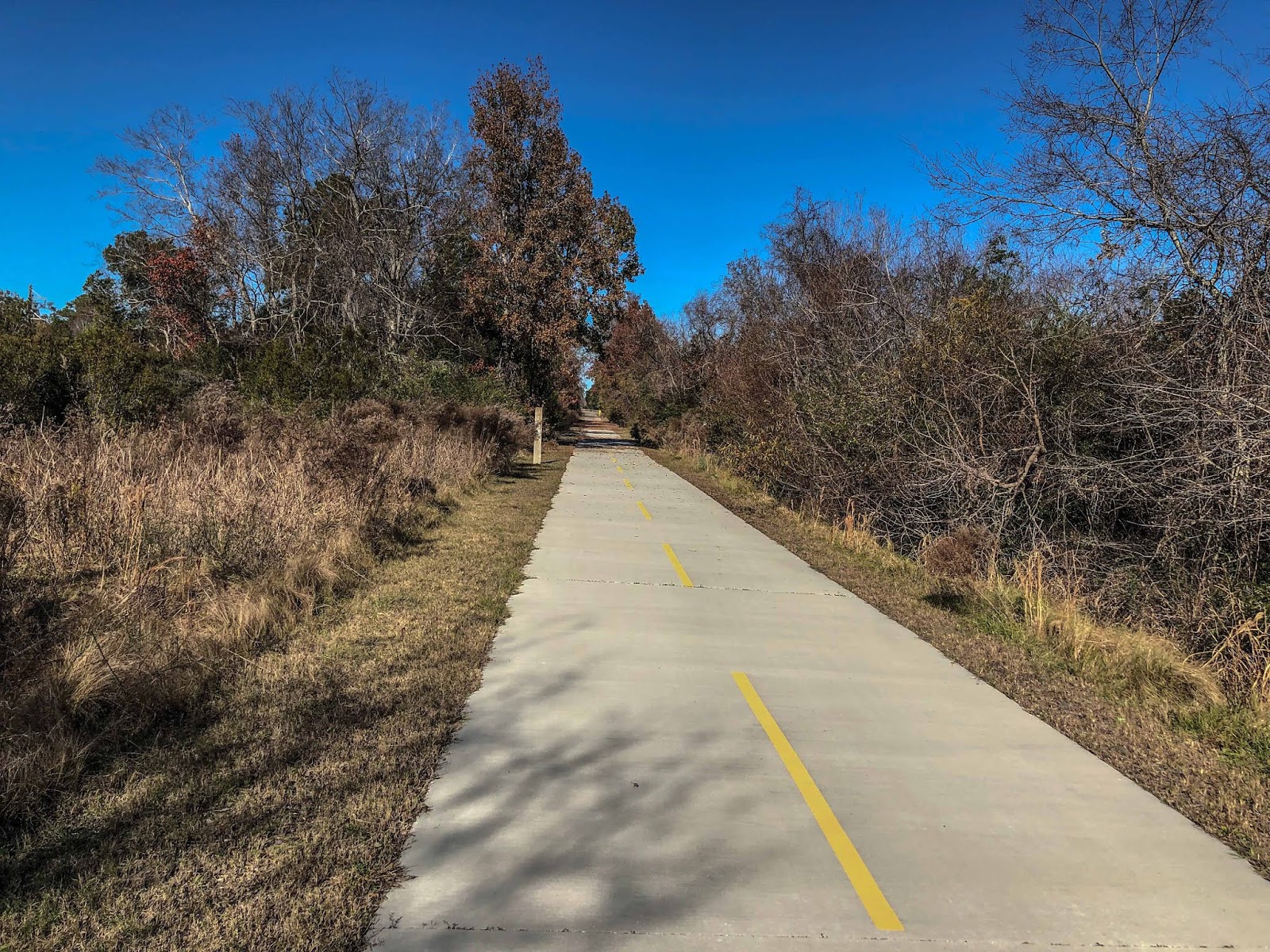 Spanish Moss Trail