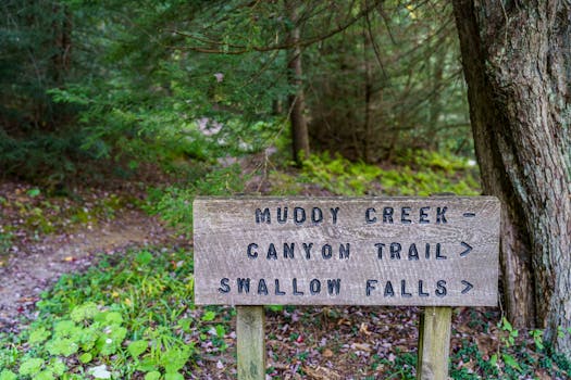 Spring Creek Canyon Trail (nearby)