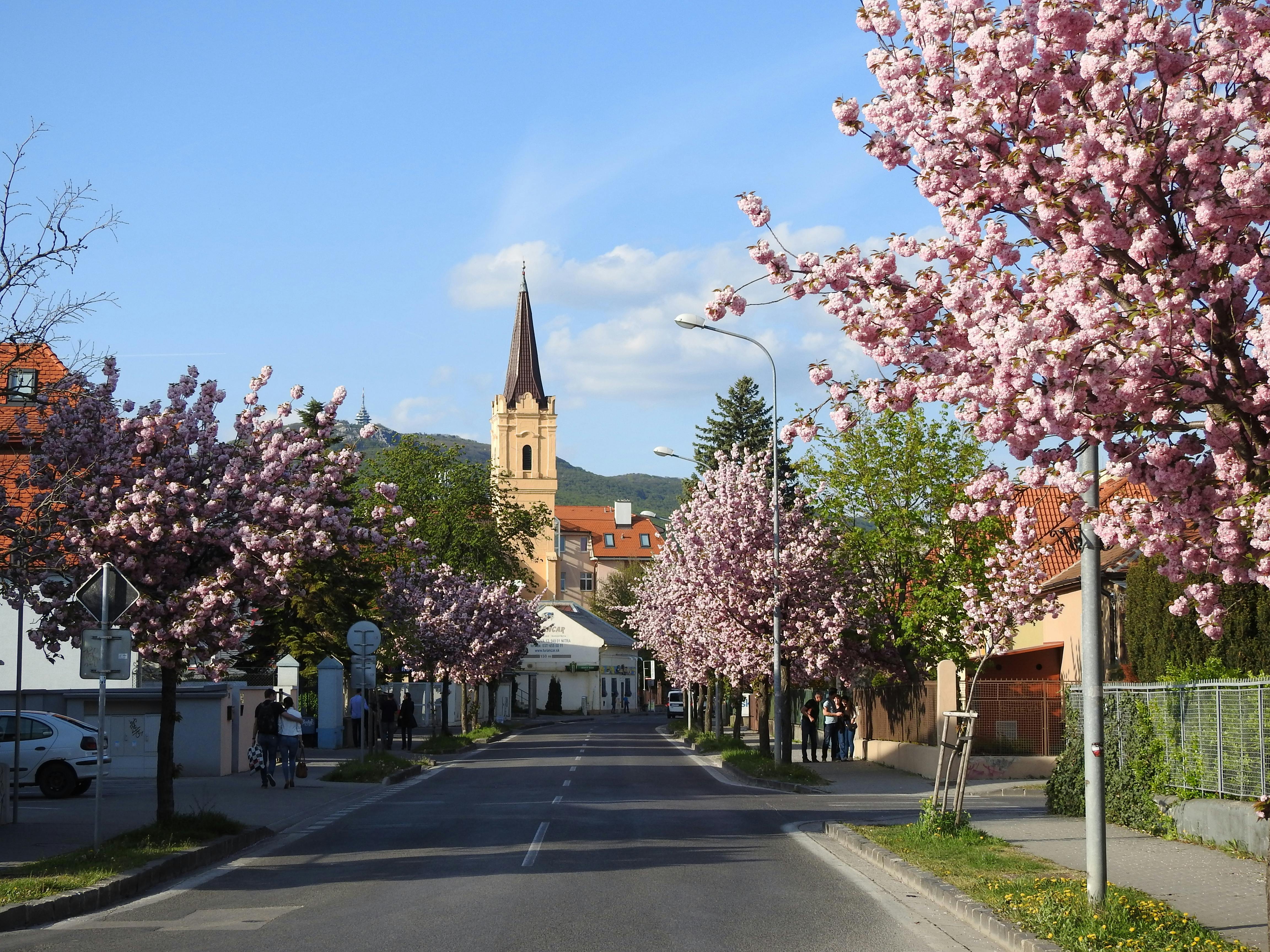 St. Nicholas Cathedral