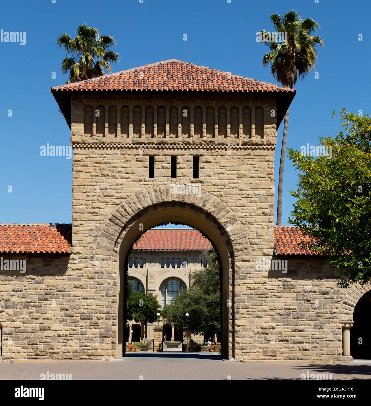 Stanford University