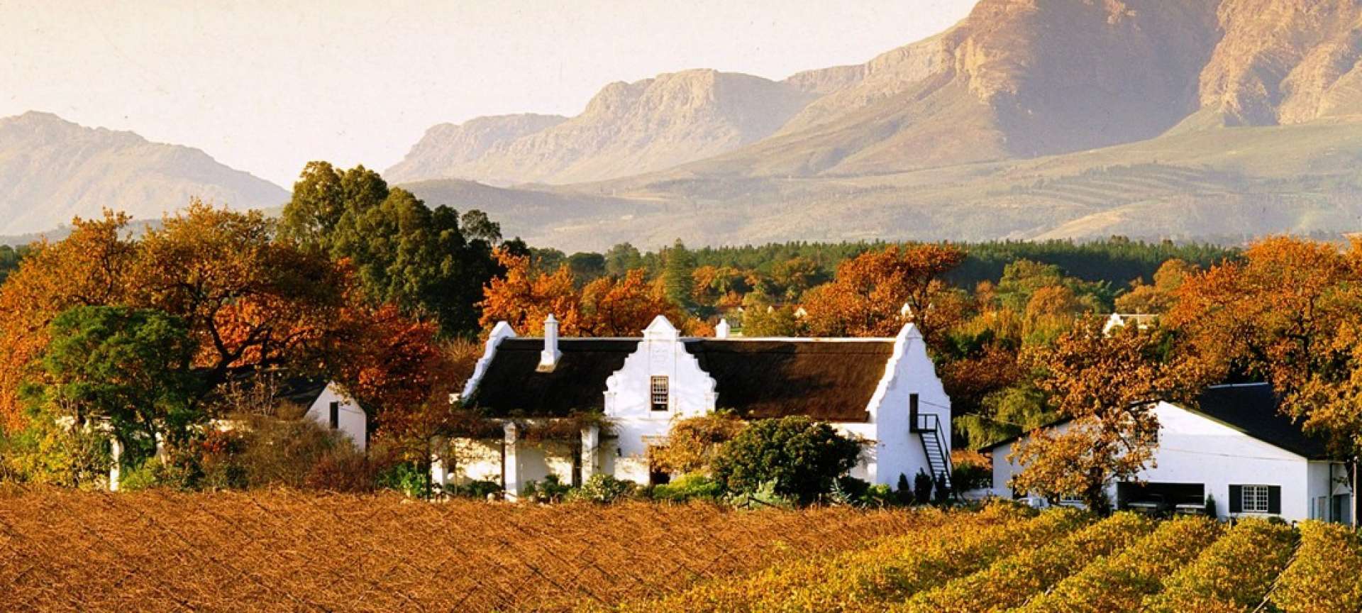 Stellenbosch Winelands