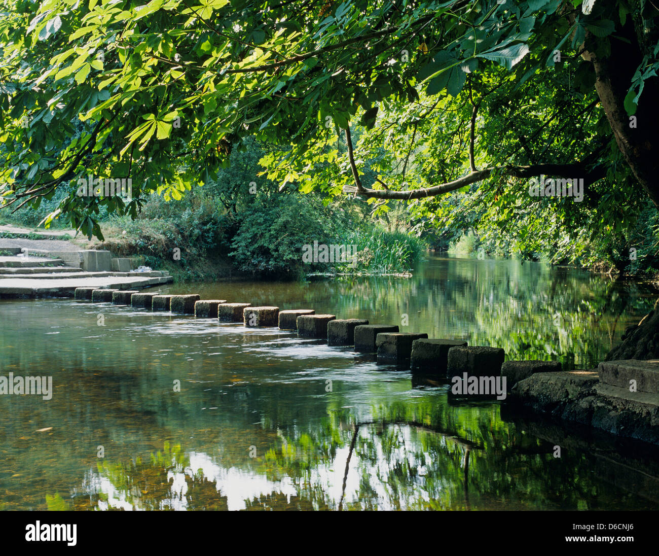 Stepping Stones