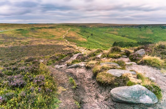 Stepping Stones at Box Hill