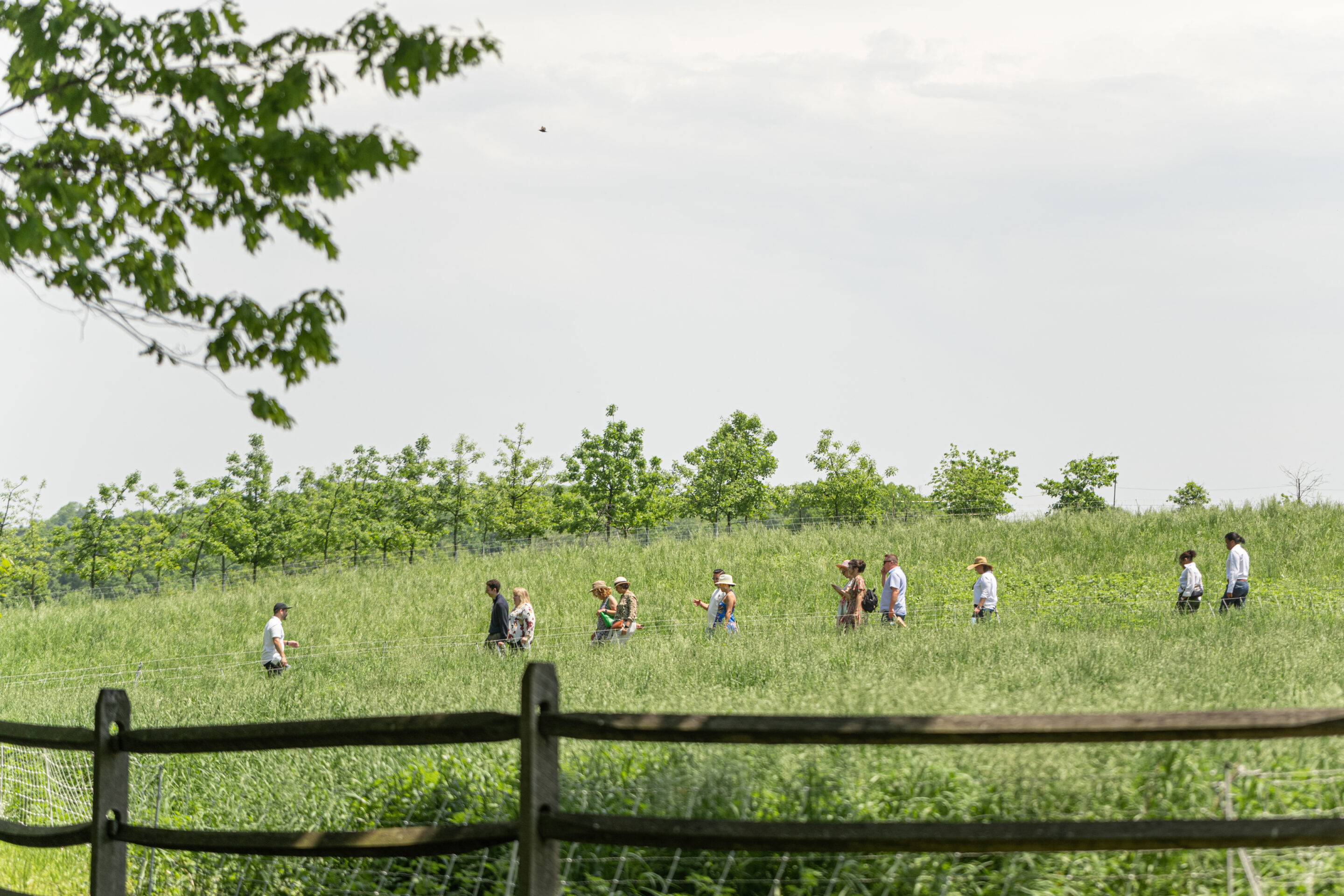 Stone Barns Center for Food & Agriculture