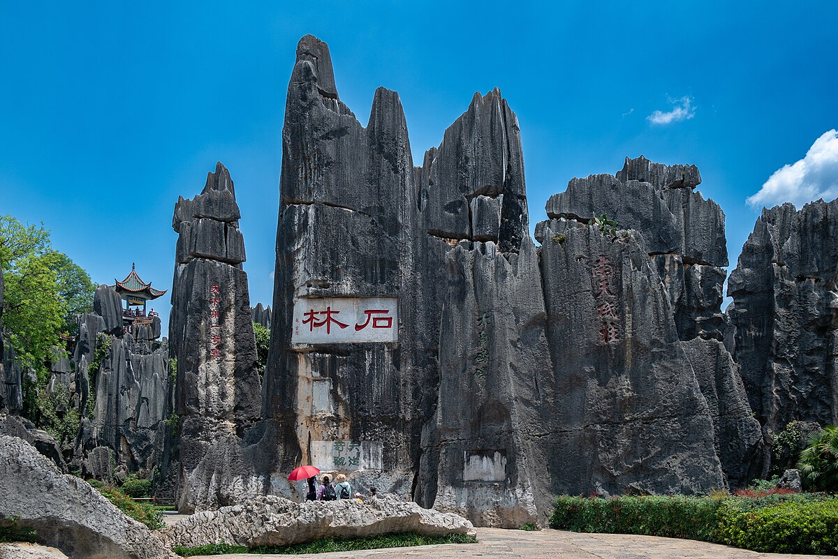 Stone Forest