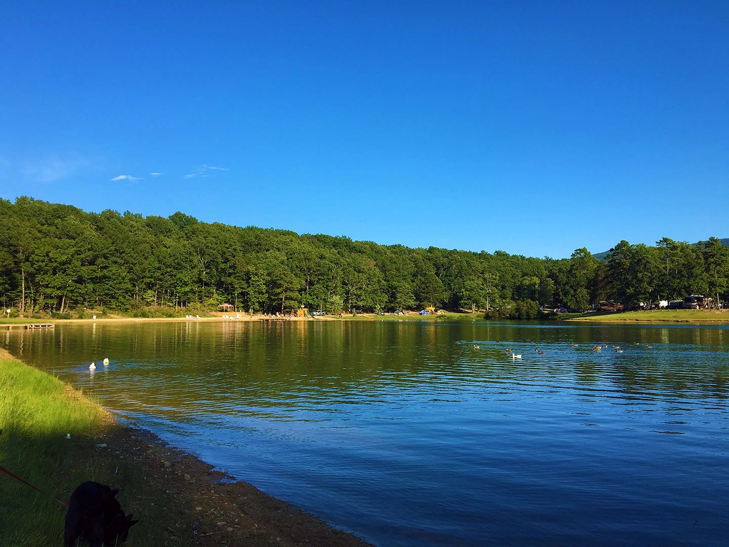 Stoney Creek Park