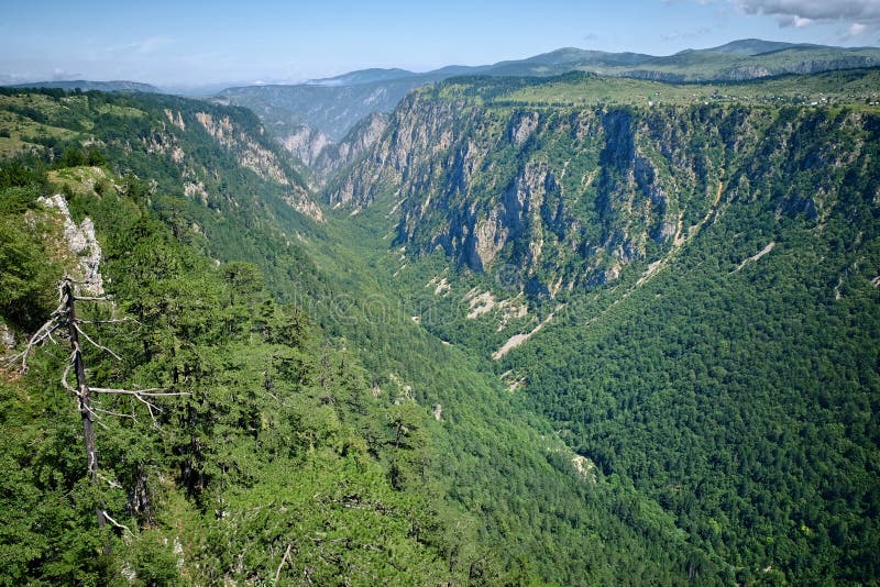 Sušica Canyon