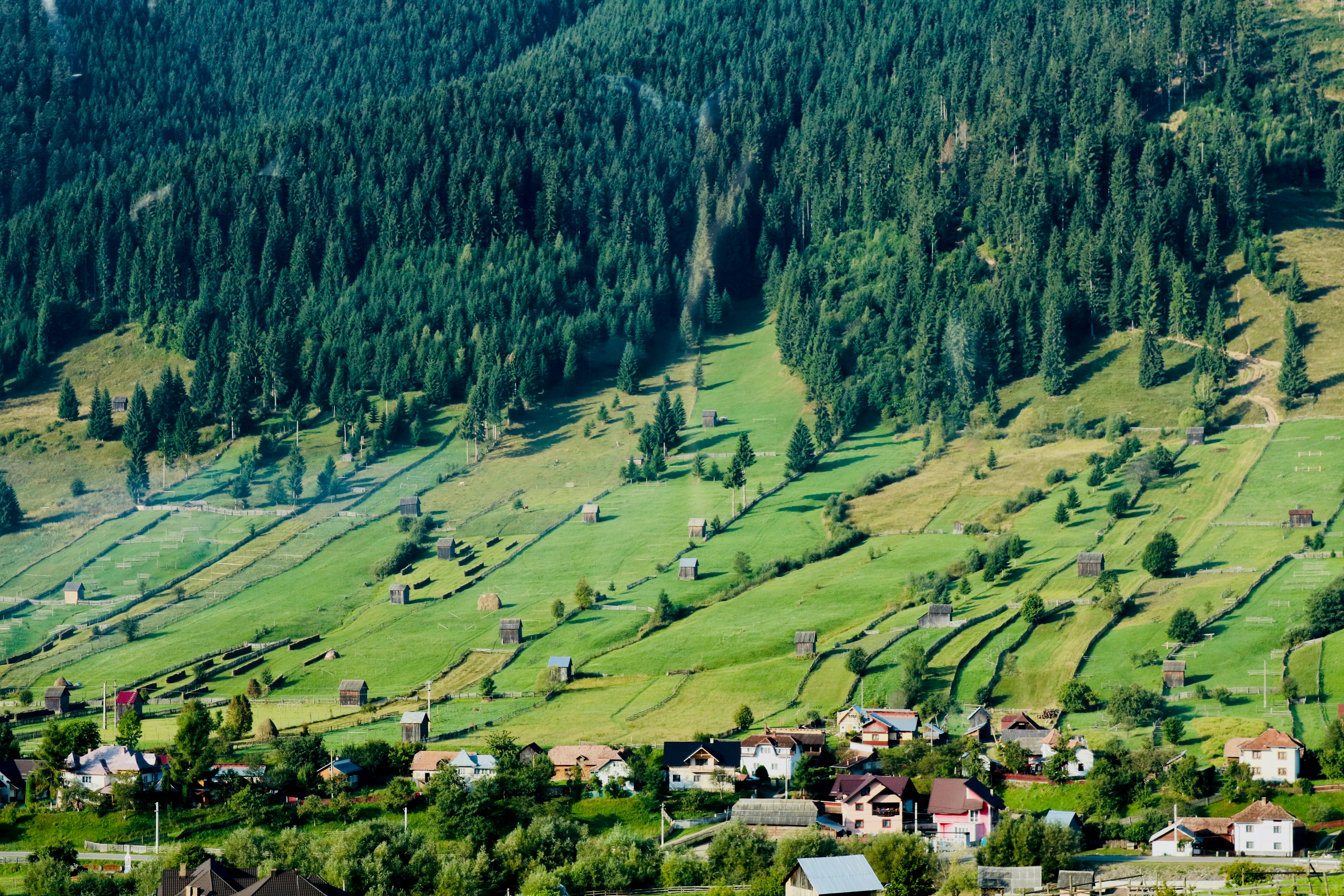 Suceava Citadel