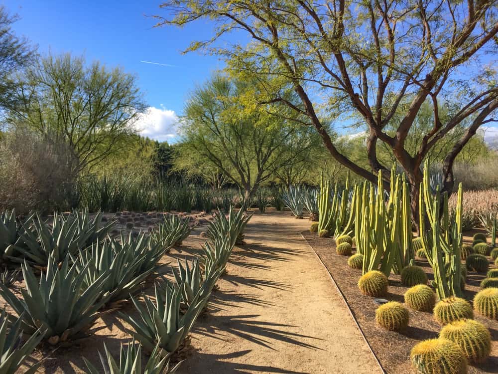 Sunnylands Center & Gardens