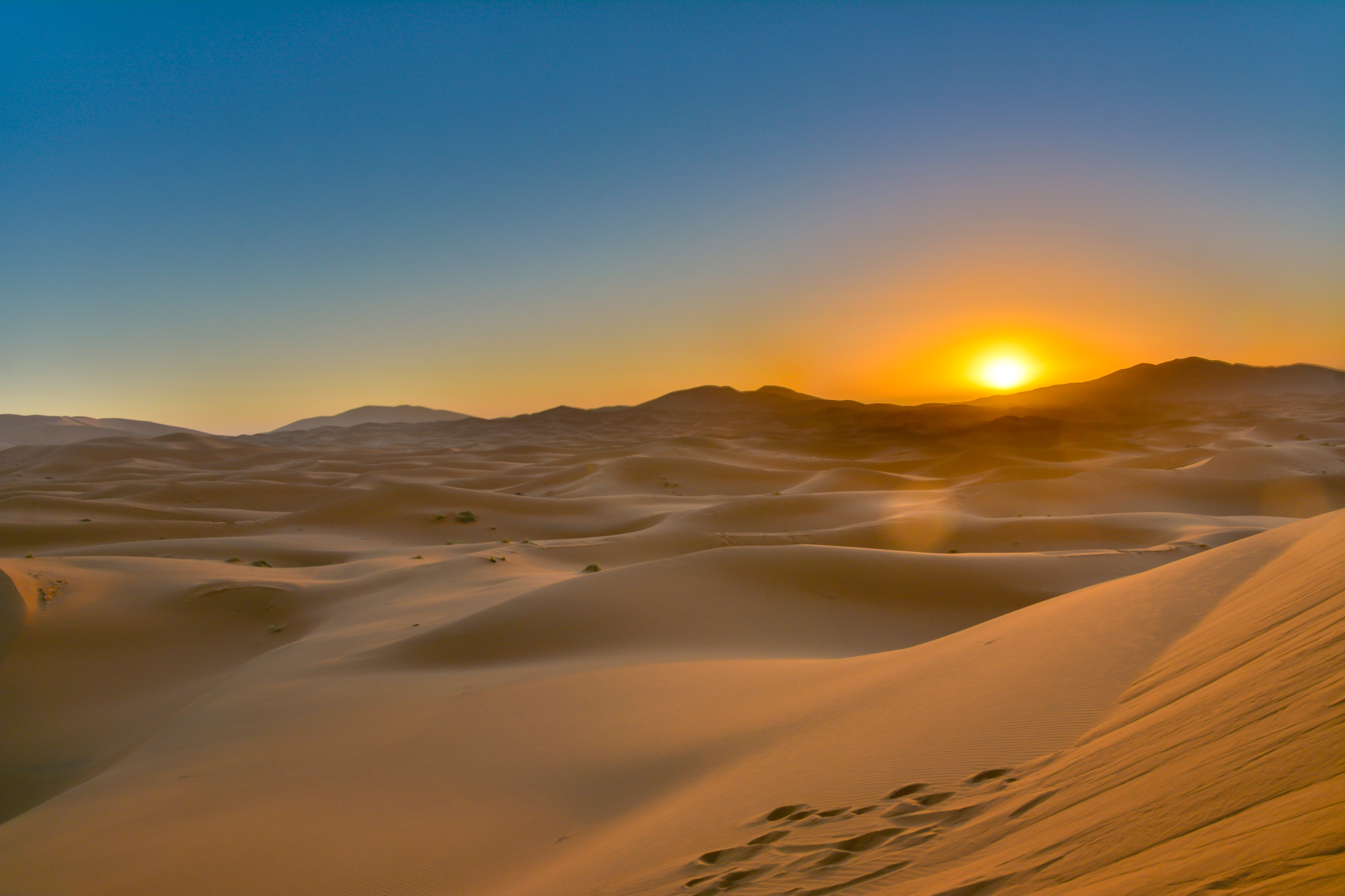 Sunrise in the Desert