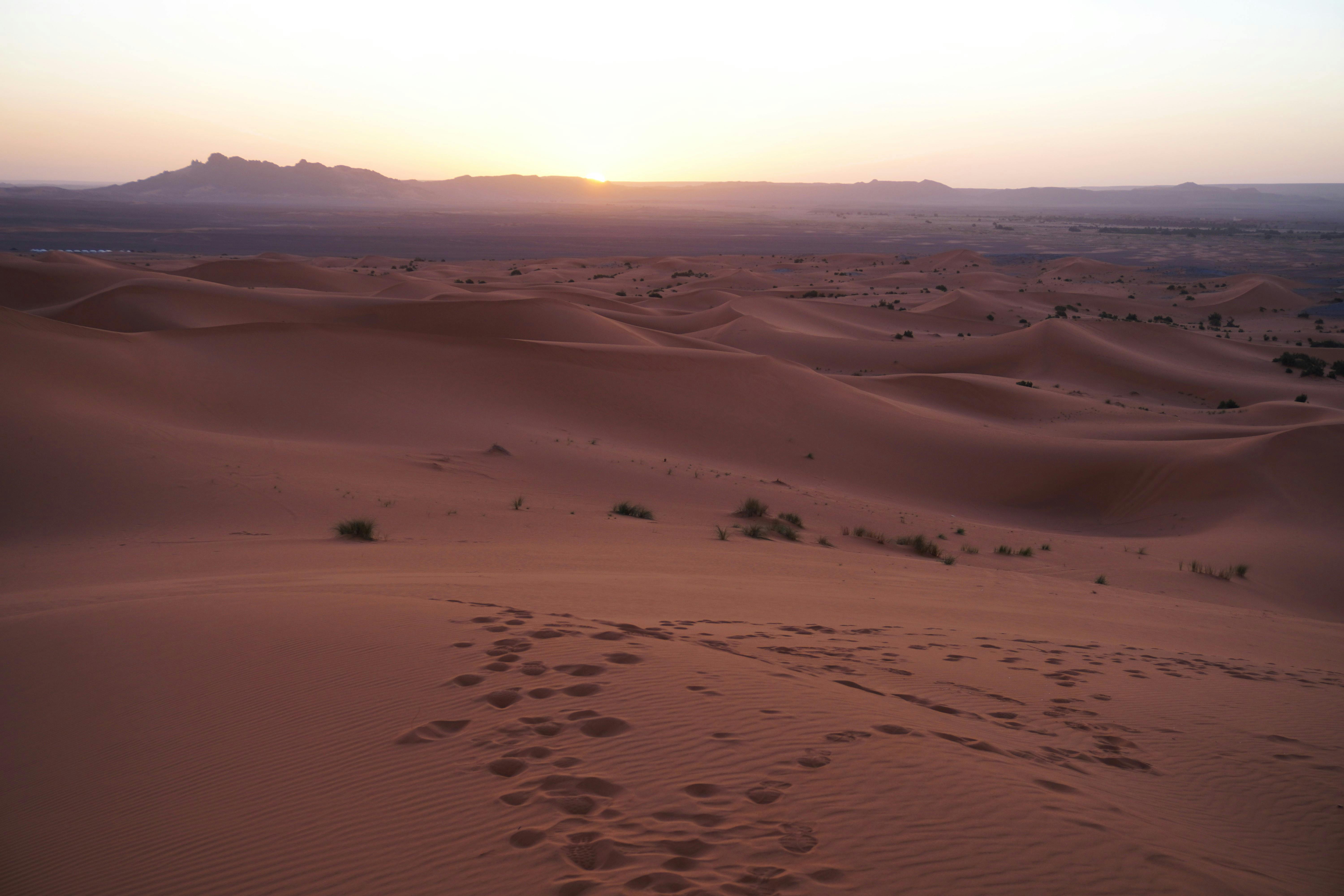 Sunrise over the Sahara Desert