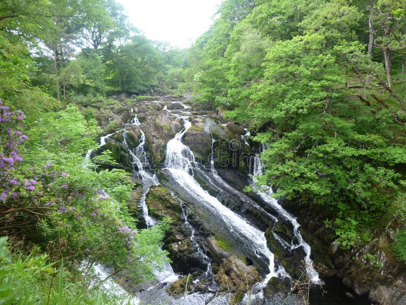 Swallow Falls