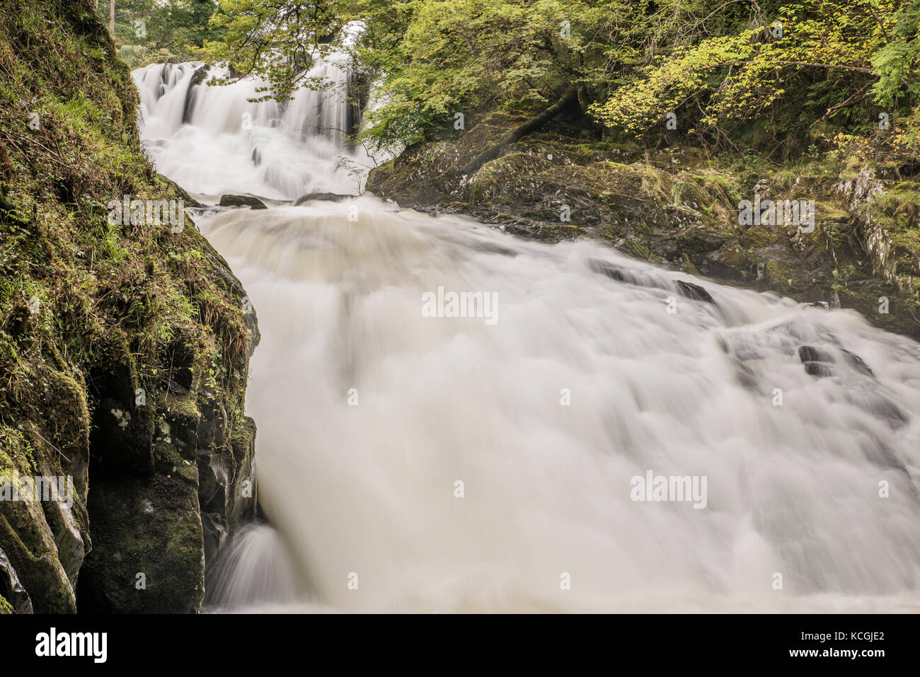 Swallow Falls