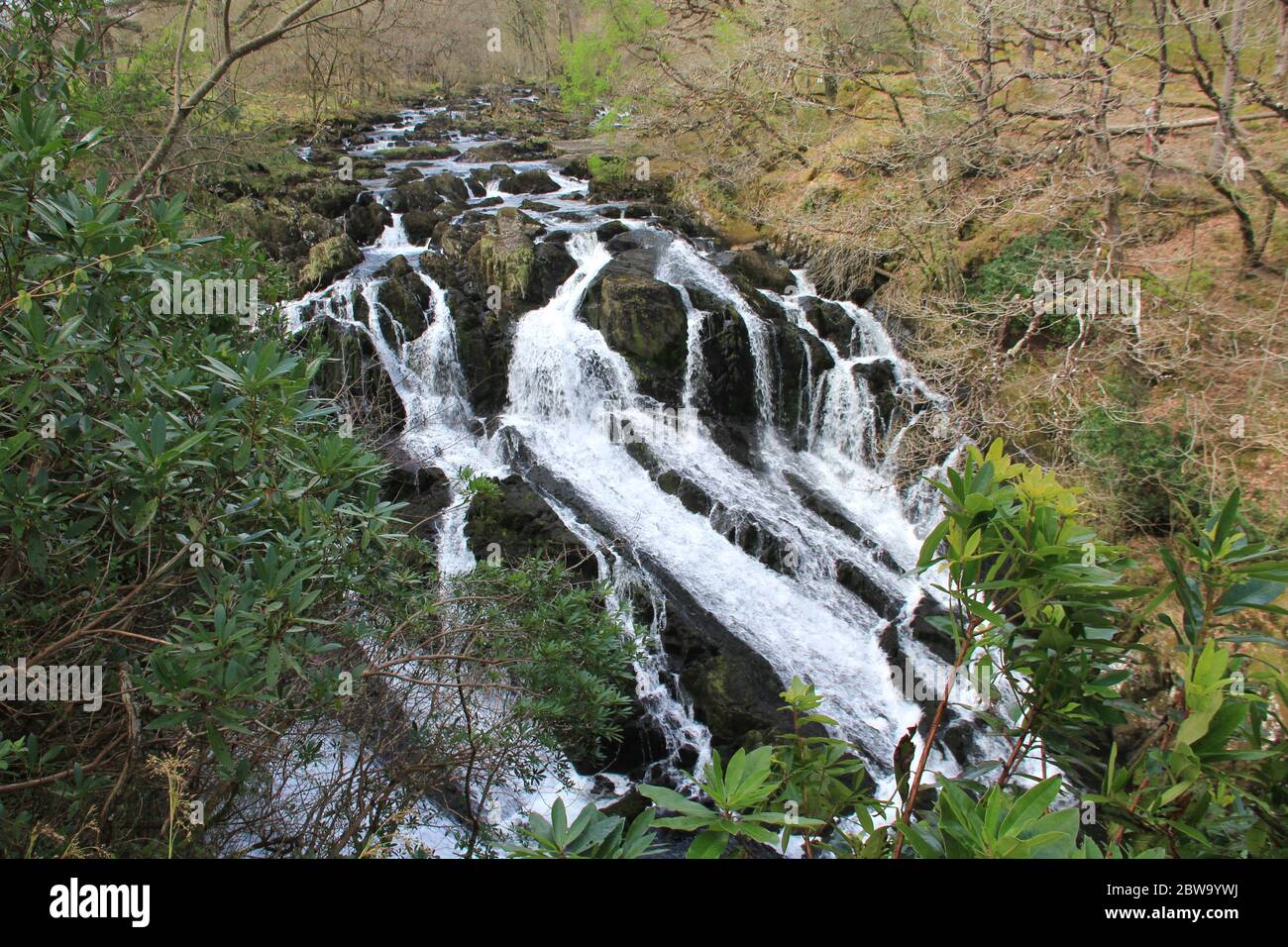 Swallow Falls