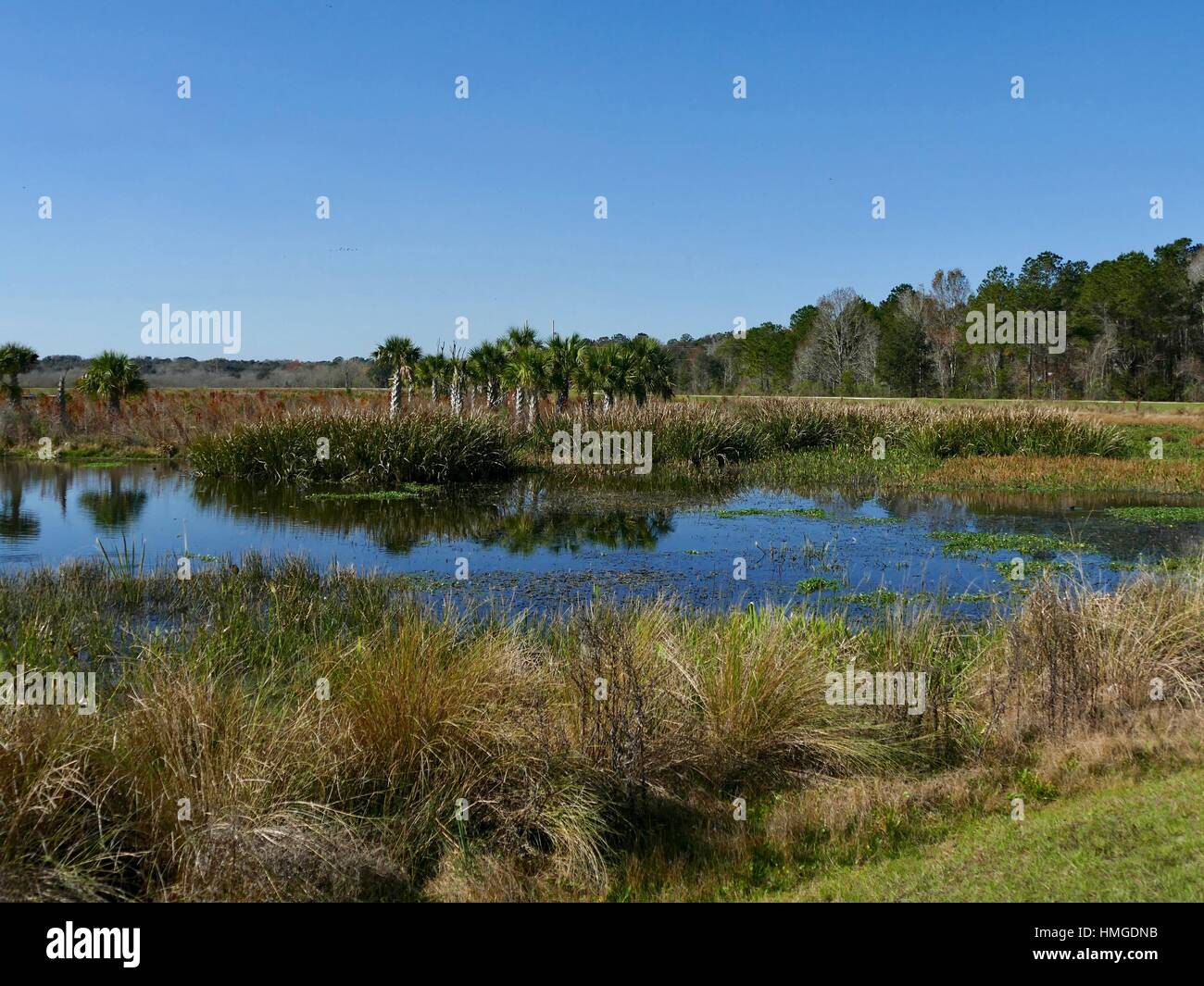 Sweetwater Wetlands Park