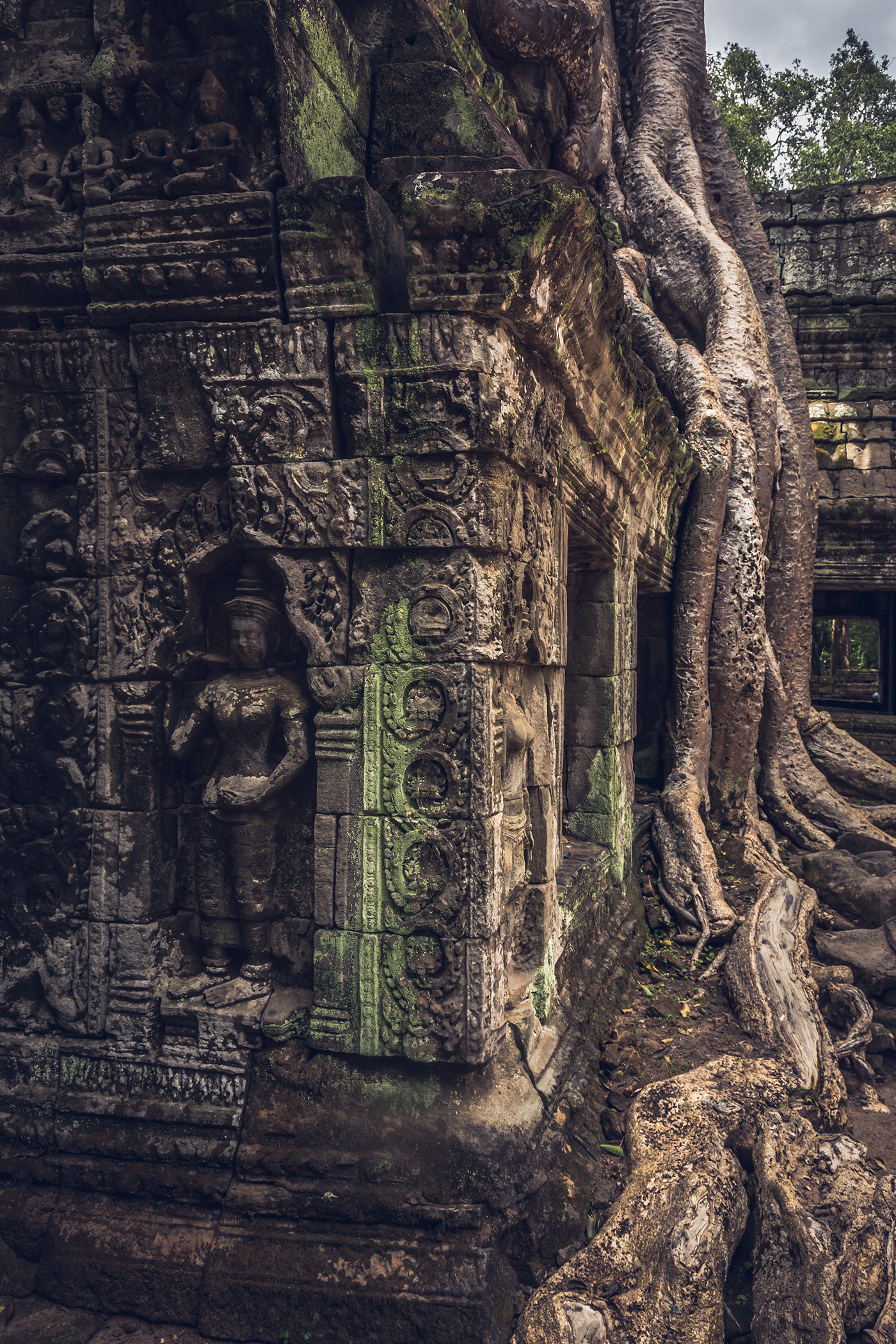 Ta Prohm Temple