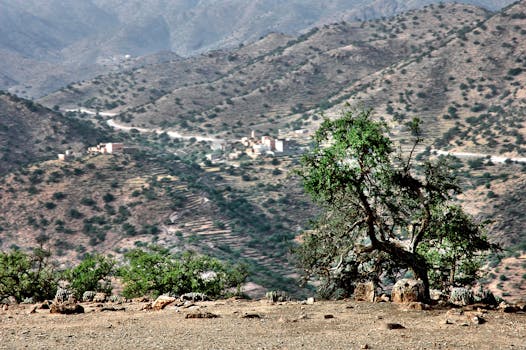 Tafraoute Market