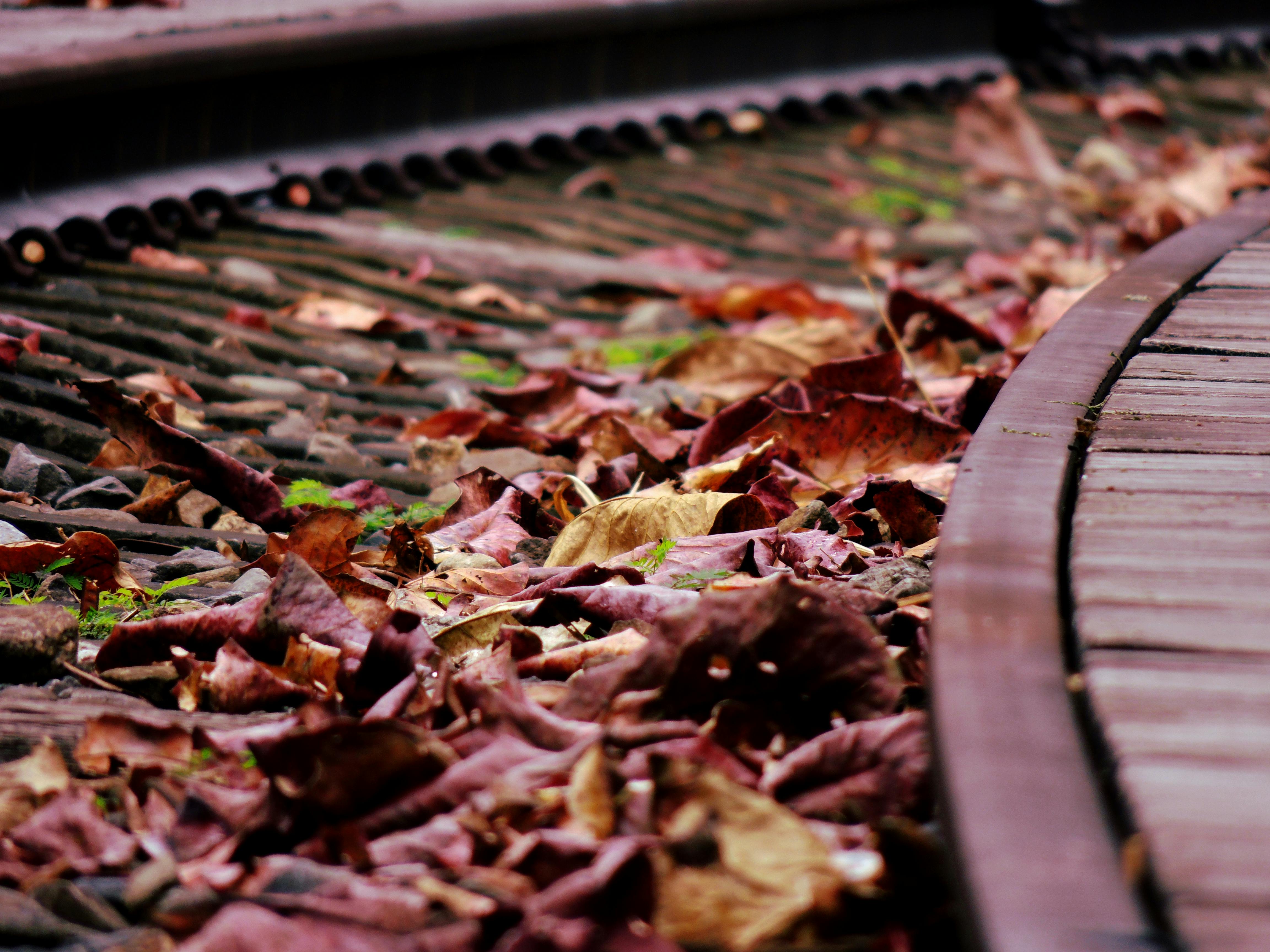 Taitung Railway Art Village