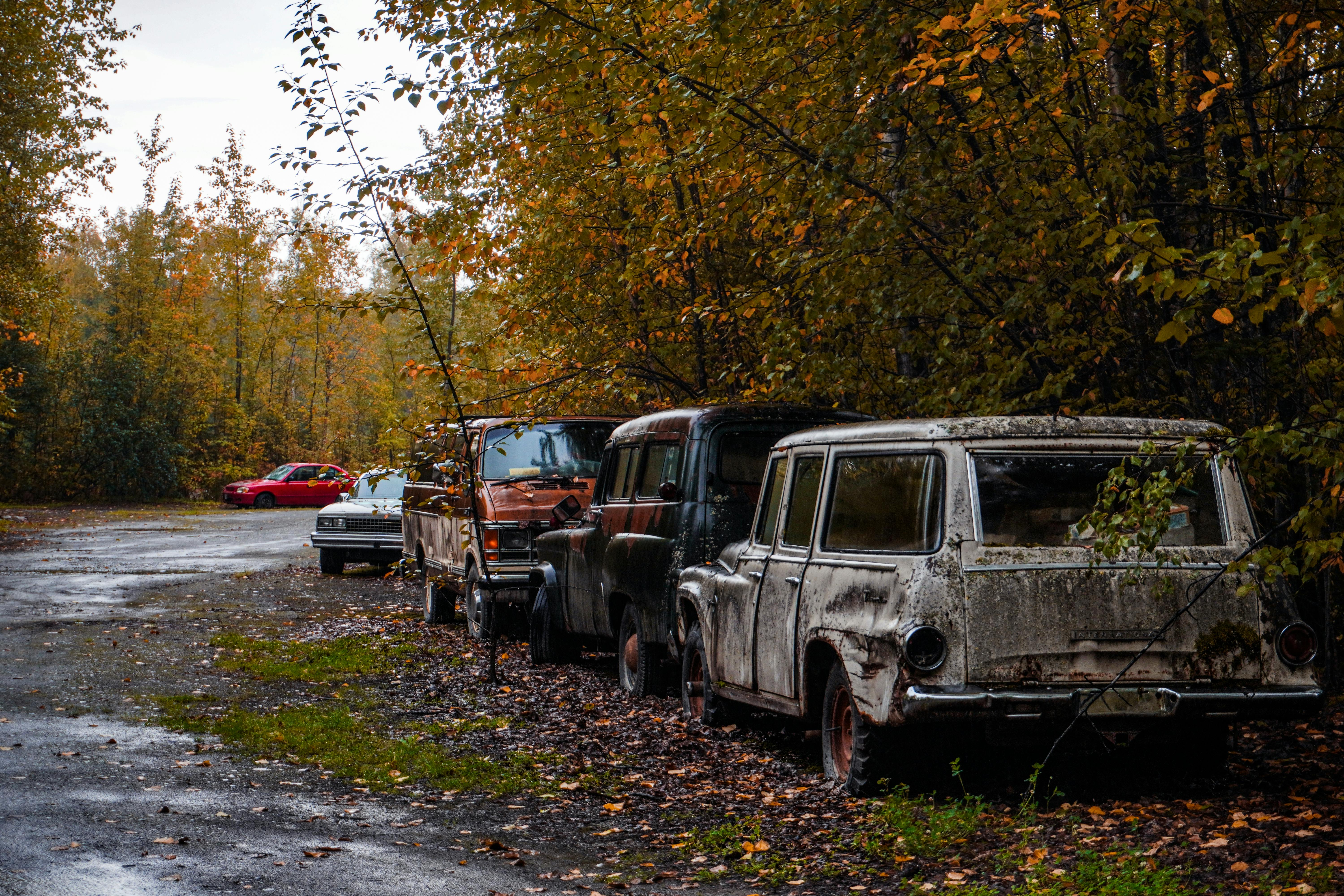 Talkeetna Riverfront Park