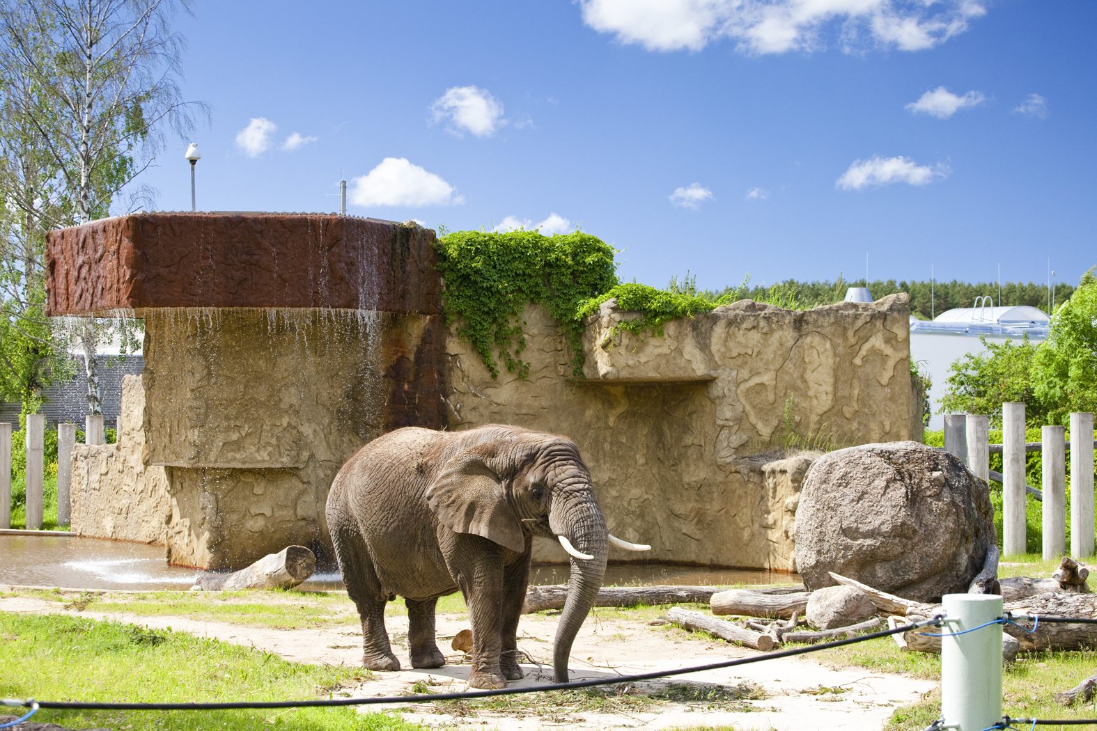 Tallinn Zoo