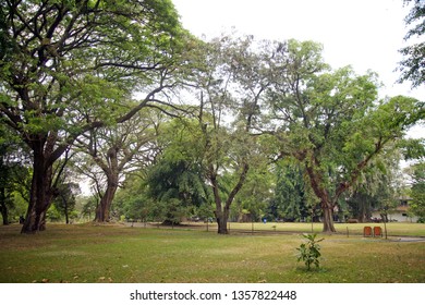 Taman Balekambang