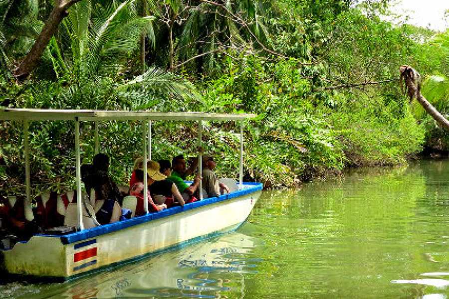 Tamarindo Estuary