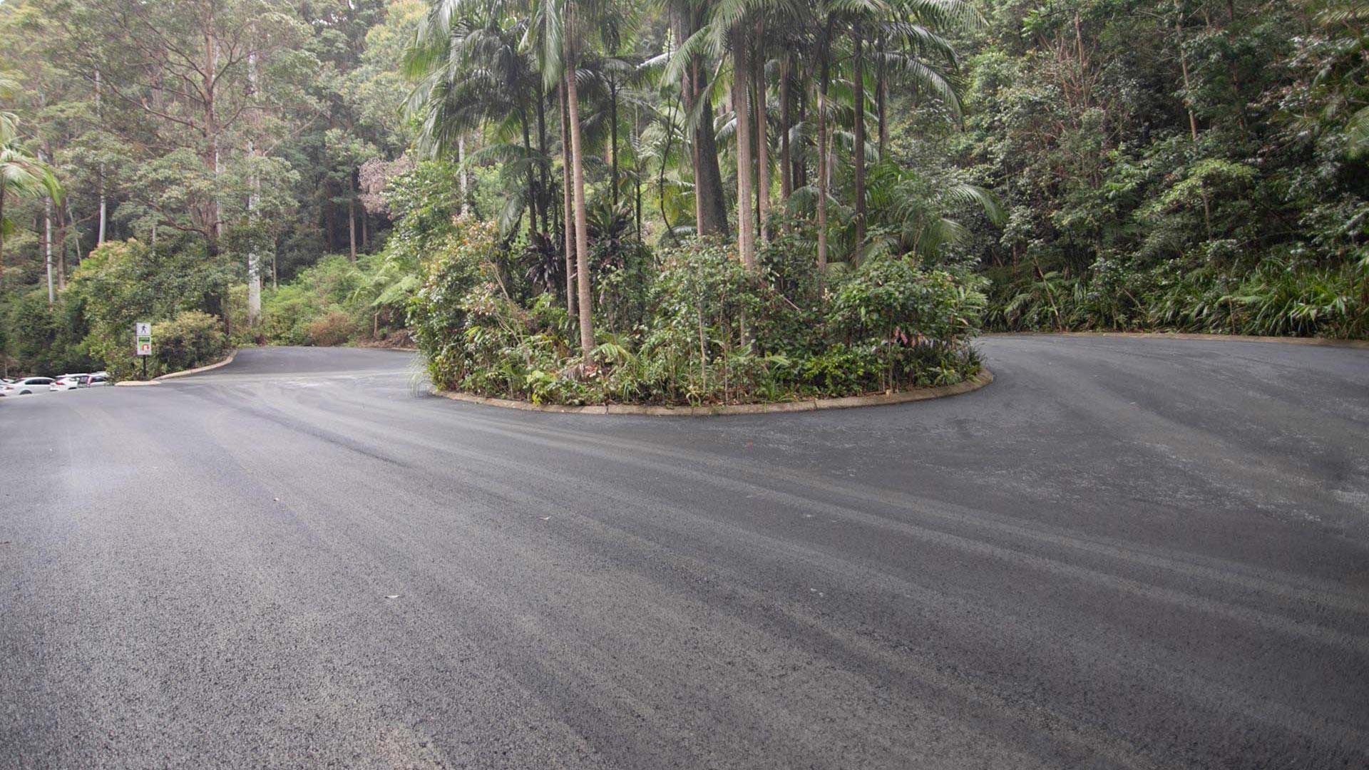 Tamborine Rainforest Skywalk