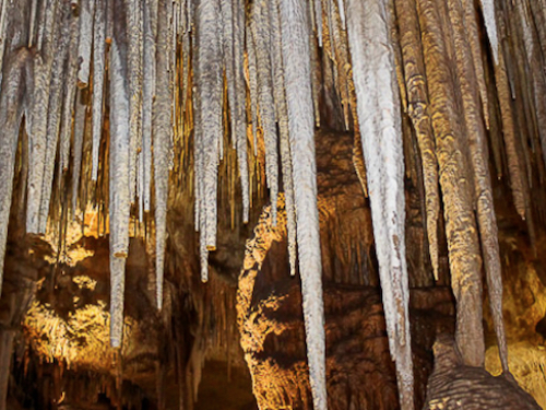 Tantanoola Caves Conservation Park