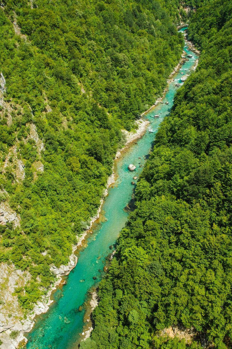 Tara River