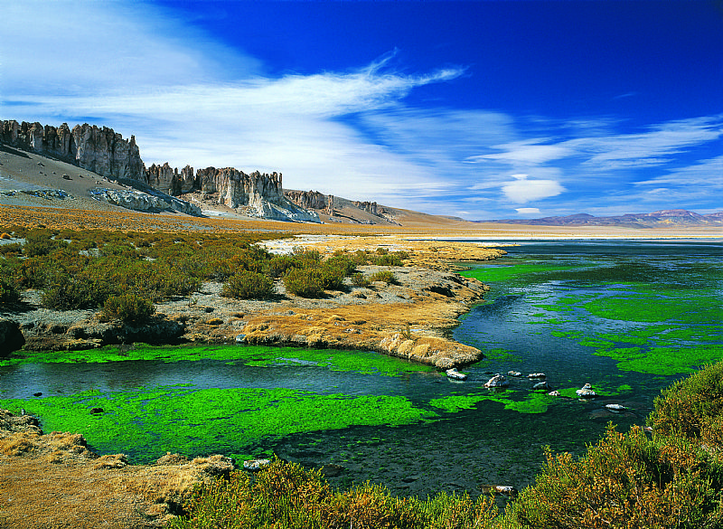 Tara Salt Flat