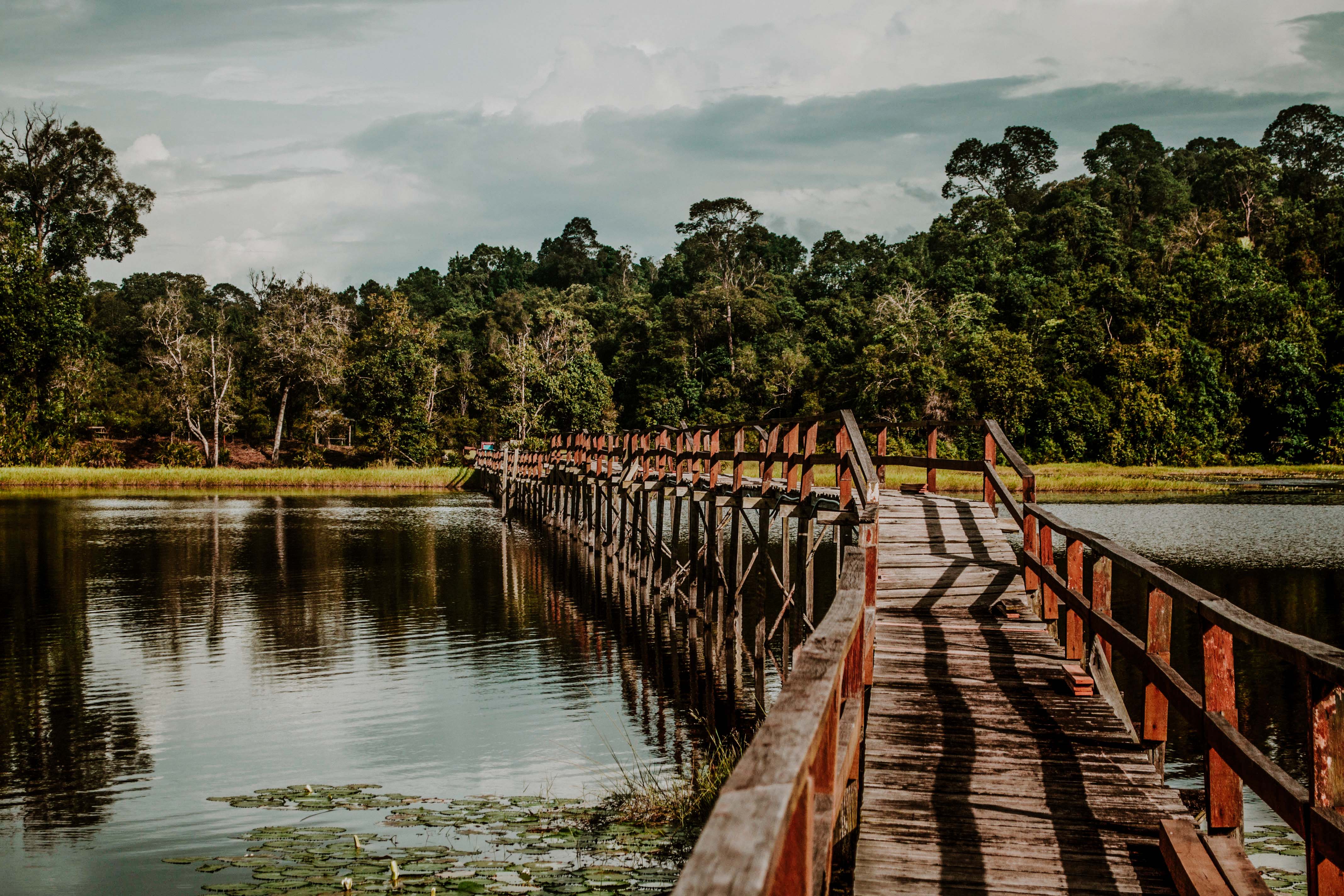 Tasek Merimbun