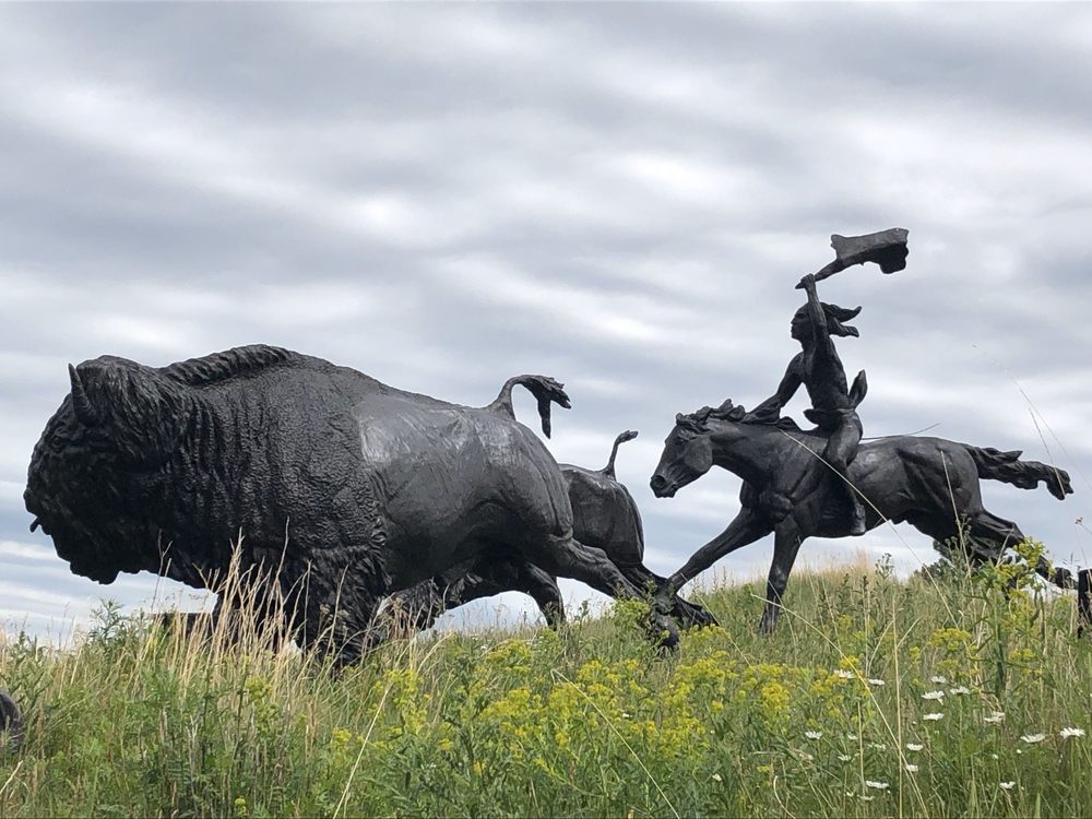 Tatanka: Story of the Bison