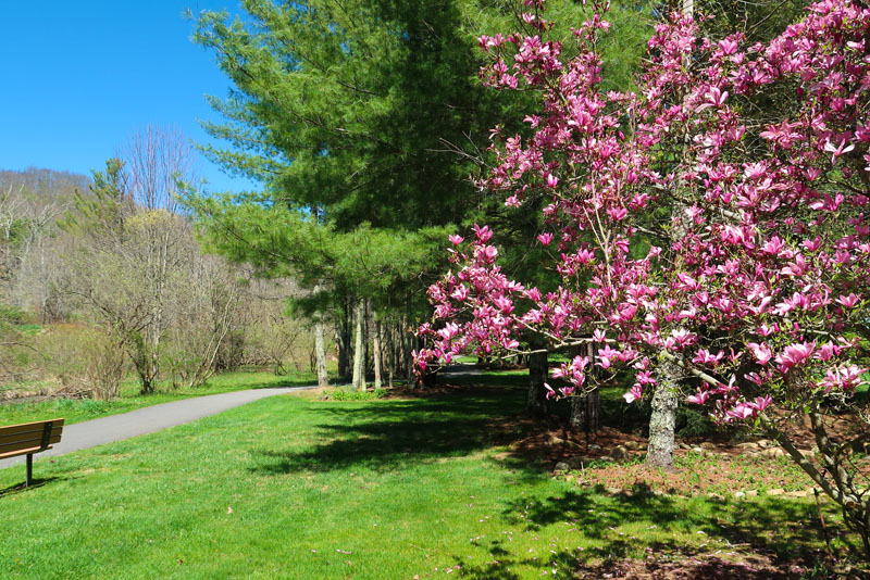 Tate Evans Park